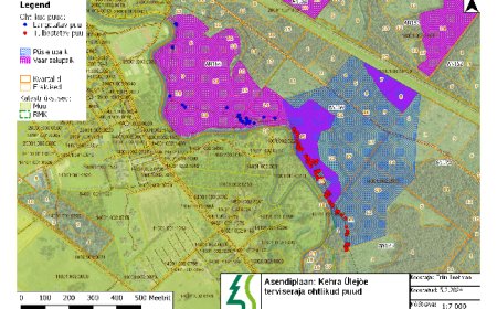 Kehra terviseradade äärest eemaldatakse ohtlikud puud