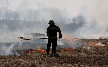 Päästjad kustutavad Harjumaal kulupõlenguid - tuleta meelde tuleohutusreegleid!