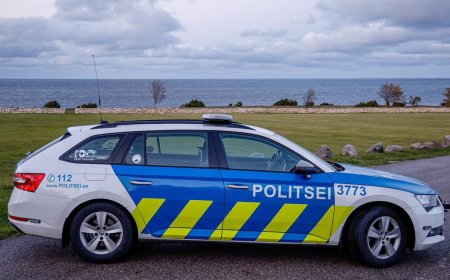 Politsei hoiatab: lisaks rahale püütakse inimestelt välja petta ka kortereid ja autosid