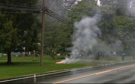 Maha kukkunud elektriliin süütas Raasiku vallas pinnase