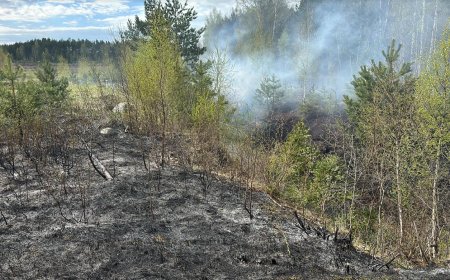 Tulekahju Raasiku vallas Igavere külas Peningi turbatootmisalal
