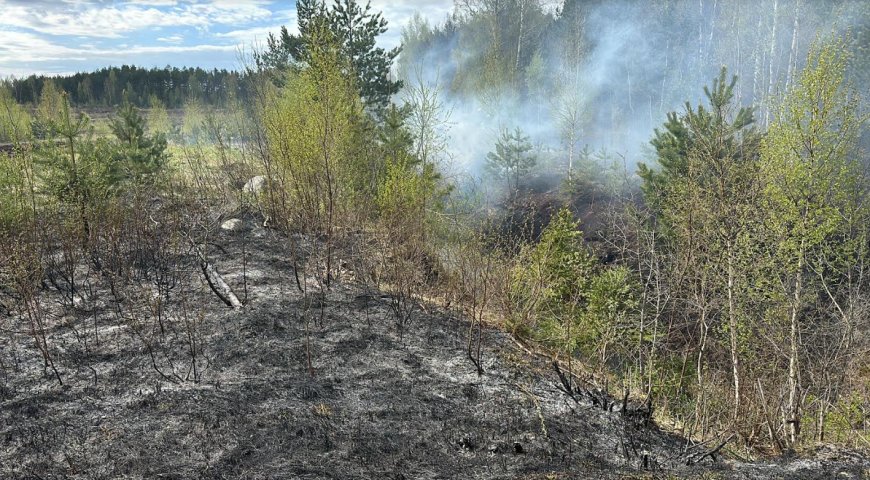 Tulekahju Raasiku vallas Igavere külas Peningi turbatootmisalal