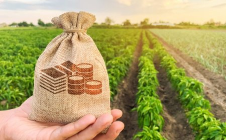 Anija Valla maamaksumäärade plaanitav tõus 2025. aastal