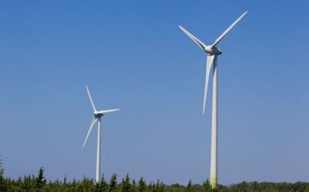 Üksiktuulik Anija vallas?