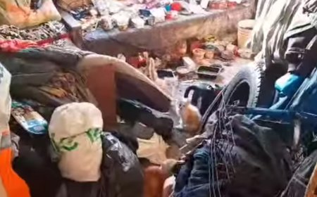 Õudne avastus Kehra kortermajas: Kassipojad surmasuus ja inimene abita