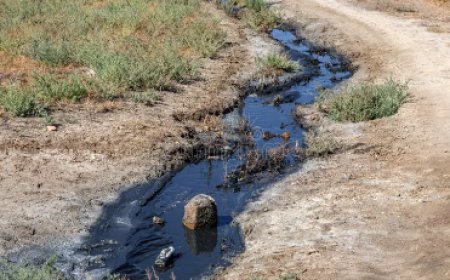 Õlireostus Kihmla külas