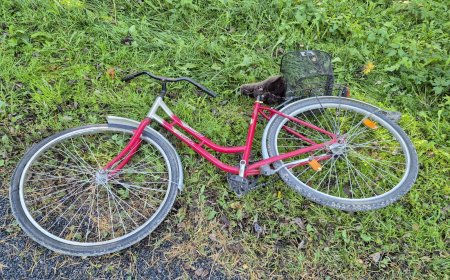 Politsei palub abi Soodla külas liiklusõnnetuses viga saanud vanema naise tuvastamisel