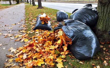 Sügisene lehekoristus Anija vallas: Mida peaks teadma?