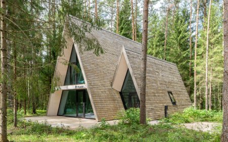 Delfi Moodsa Kodu publikulemmik: Kuuse elamusmajad kõrvemaa spordi- ja matkakeskuses