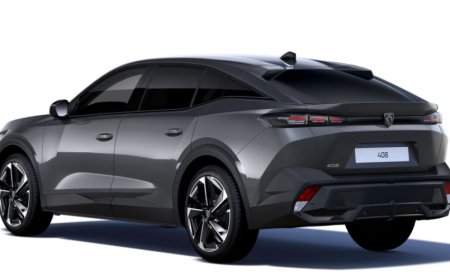 Kas vallavanem peaks kasutama ametiautol valla sümboolikat?