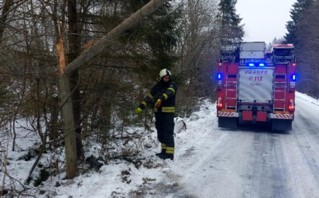 Mööbli teel rippus pooleks murdunud tänavavalgustuspost – juht põgenes sündmuspaigalt