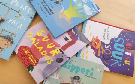 Ülevaade Anija valla raamatukogude tegemistest