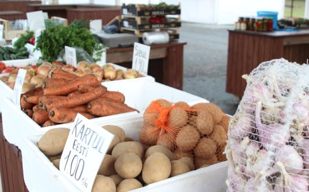 KOHALIKE LEMMIK: Soolakurgid ja mangod – Dmitri võlub Kehra turulisi