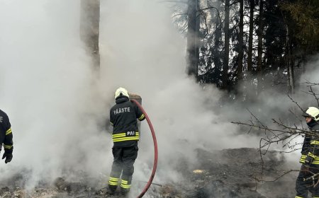 Kose vallas hukkus tulekahjus eakas naisterahvas
