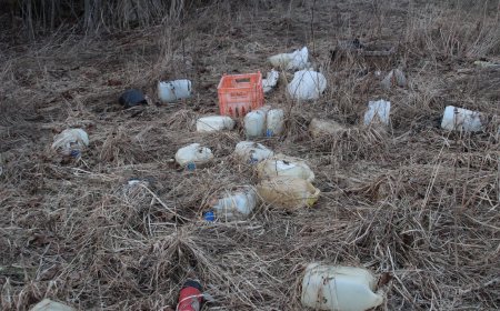 Maaomanik peab järjekordselt teiste prügi koristama