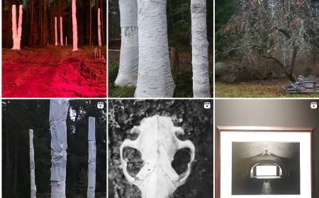 Valgejõe kunstnik Eleanora Alis Tofte avab näituse "Mööduv" - monument elu haprusele ja kaduvusele