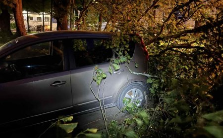 Torm tegi Harju maakonnas kahjustusi: päästjatel 42 väljakutset ööpäevaga