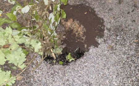 Kohalik elanik teatas ohust: Auk Pargi tänaval saab kiire lahenduse