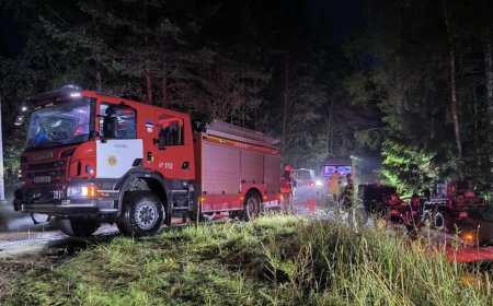 Politsei ja päästjad otsisid Anija vallas kadunud seenelist; appi võeti droon, ATV ja helikopter