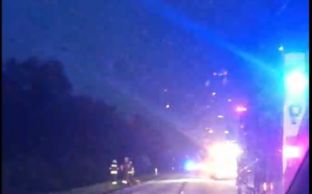 VIDEO: Põdraga kokkupõrkes sai autojuht viga Jägala-Käravete teel