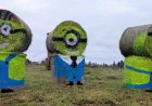 Anijal Kuusemäe külas tervitavad ülilahedad minionid