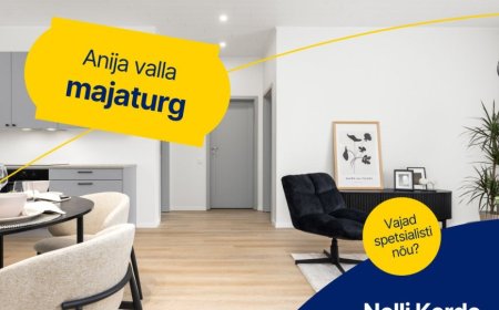 Anija valla majaturg 2025. aasta I. poolaastal