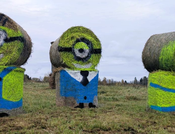 Anijal Kuusemäe külas tervitavad ülilahedad minionid