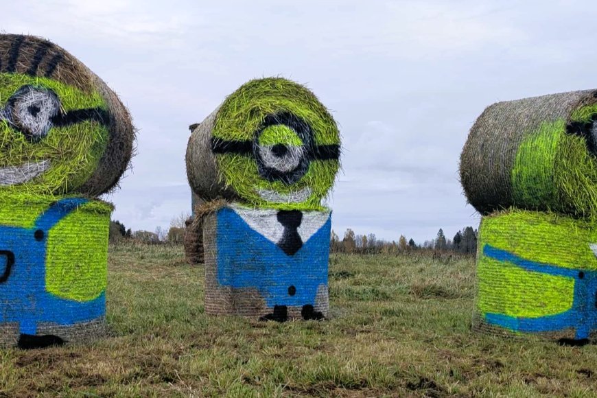 Anijal Kuusemäe külas tervitavad ülilahedad minionid