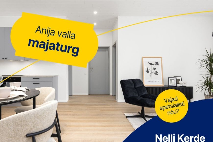 Anija valla majaturg 2025. aasta I. poolaastal