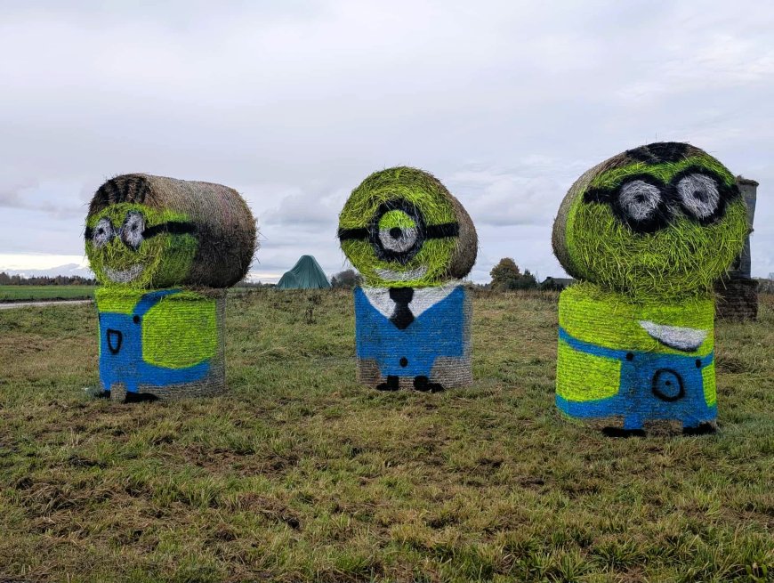 Anijal Kuusemäe külas tervitavad ülilahedad minionid