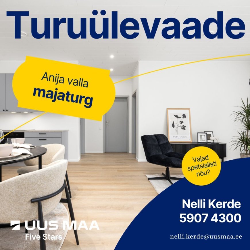 Anija valla majaturg 2025. aasta I. poolaastal