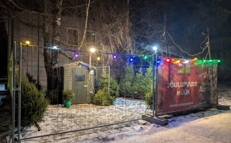 Kehra ärimaja kõrval avatakse taas jõulupuude müügiplats