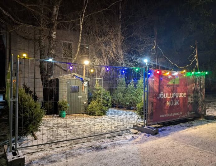 Kehra ärimaja kõrval avatakse taas jõulupuude müügiplats