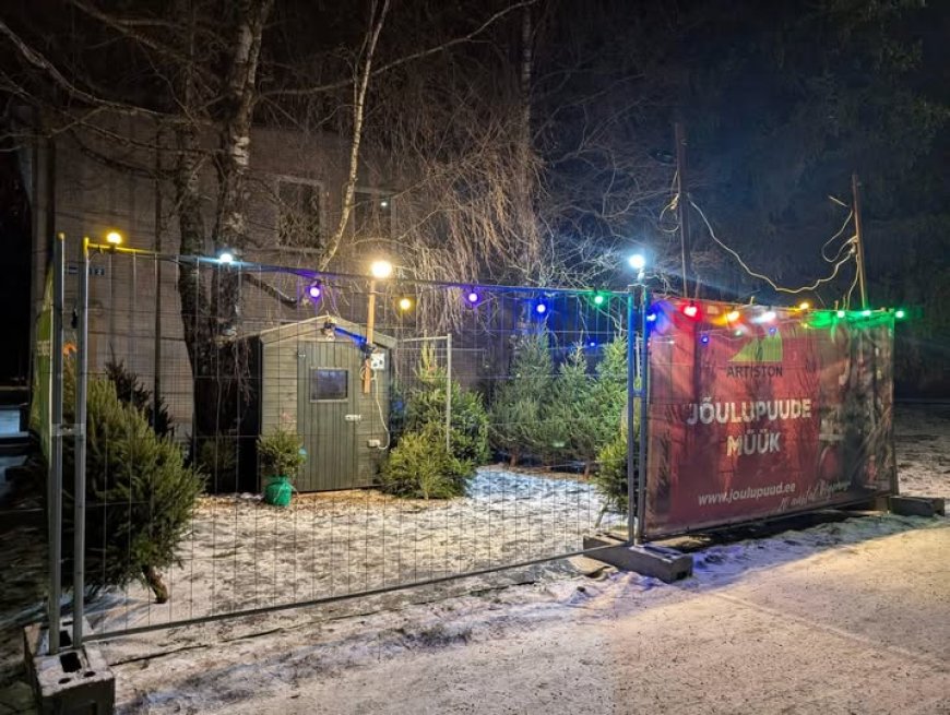 Kehra ärimaja kõrval avatakse taas jõulupuude müügiplats