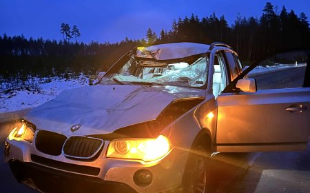 Ettevaatust liikluses: Pillapalus kokkupõrge põdraga, autojuht pääses imekombel vaid ehmatusega