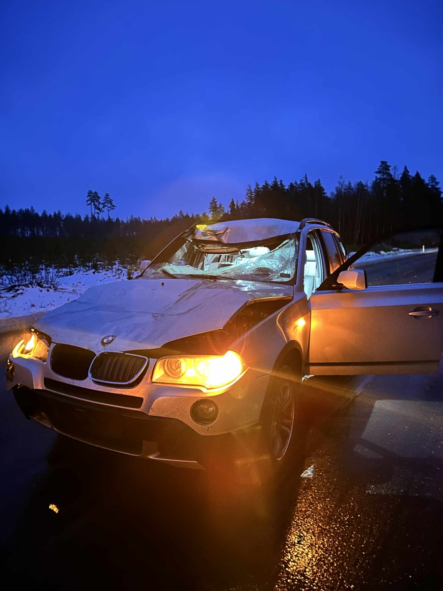 Ettevaatust liikluses: Pillapalus kokkupõrge põdraga, autojuht pääses imekombel vaid ehmatusega