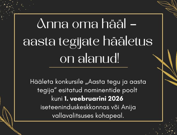 Anija vald valib 2025. aasta tegu ja tegijat – hääletus on avatud!