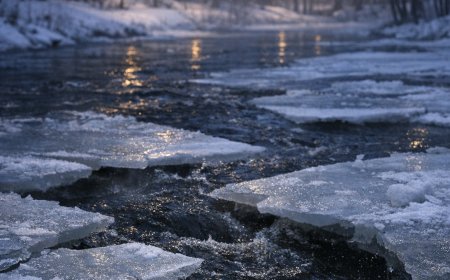 Traagiline õnnetus Kehras: läbi jää vajunud koera ei õnnestunud päästa