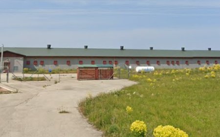 Mis toimub aastaid tühjalt seisnud Anija kanalas?