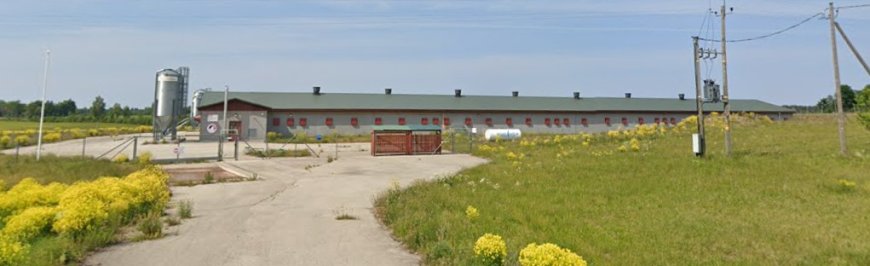 Mis toimub aastaid tühjalt seisnud Anija kanalas?