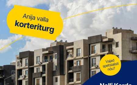 Anija valla korterite turuülevaade 2026. aasta I kvartali seisuga