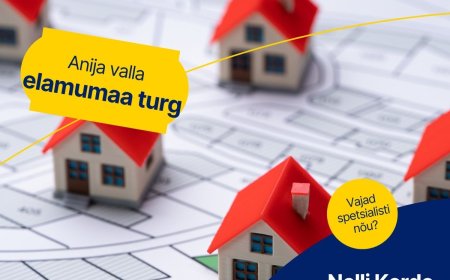 Anija valla hoonestamata elamumaade turuülevaade 2026. aasta I kvartali seisuga