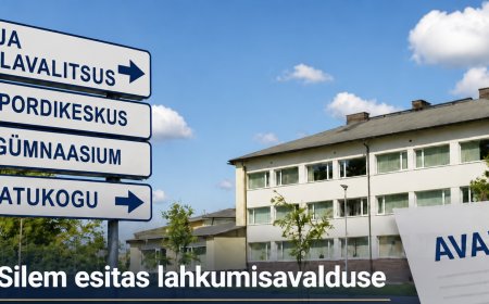 Abivallavanem Tiina Silem esitas avalduse töölepingu lõpetamiseks