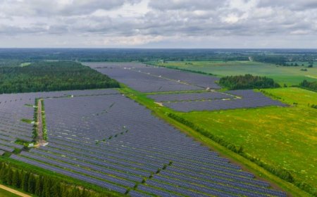 Pihlaka päikesepark on aastaga tootnud 13 000 majapidamise elektri
